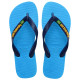 Havaianas Brasil Logo